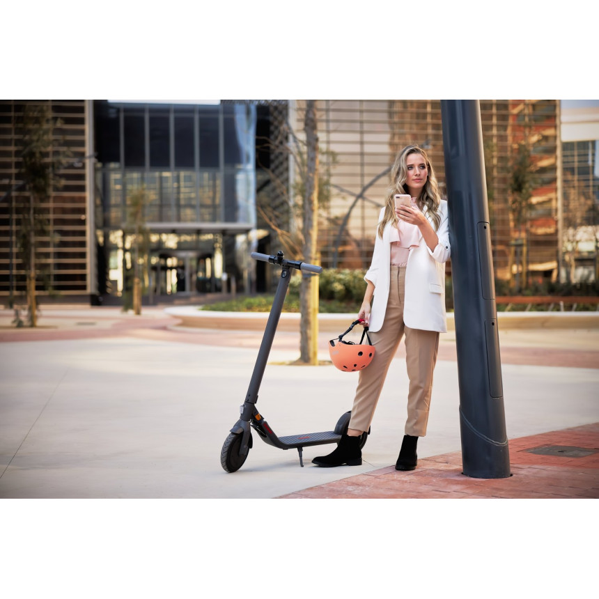 Электросамокат Ninebot by Segway E22E