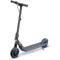 Электросамокат Ninebot by Segway E10